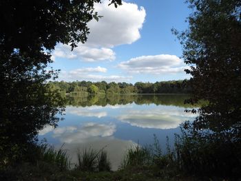 Scenic view of lake in forest against sky