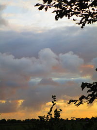 Low angle view of silhouette trees against sky during sunset