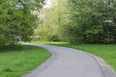 Road amidst trees