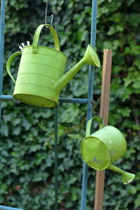 Close-up of green leaf hanging on plant