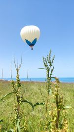 View of balloons on field against clear blue sky