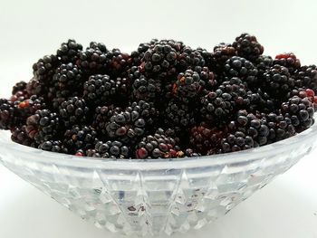 Blackberries in bowl on white background