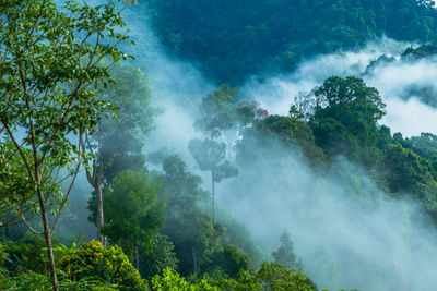 Scenic view of waterfall in forest against sky