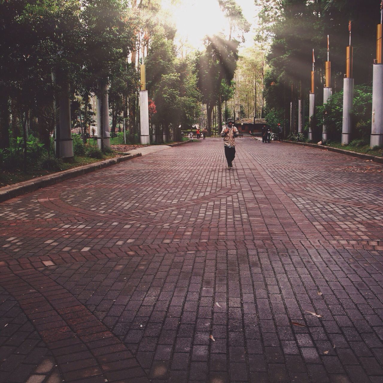 the way forward, walking, tree, lifestyles, rear view, full length, leisure activity, men, cobblestone, footpath, diminishing perspective, street, sunlight, person, vanishing point, paving stone, shadow, outdoors