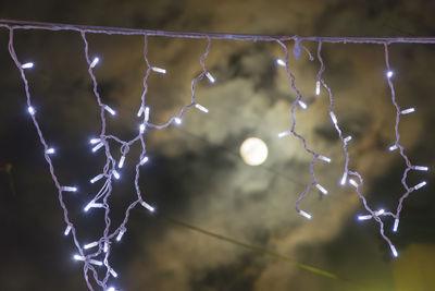Close-up of spider web against sky at night