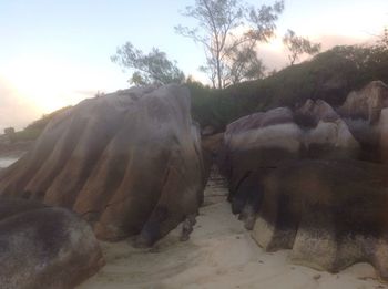Close-up of beach against sky