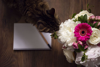 Close-up of a cat on flower bouquet