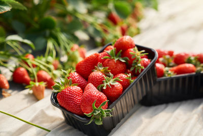 High angle view of strawberries in container