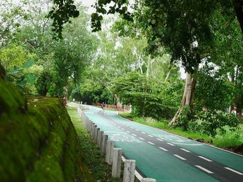 Road amidst trees in park