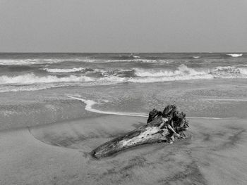 Driftwood on beach against sky