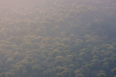 Low angle view of clouds in sky