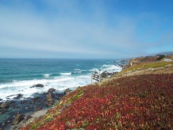 Scenic view of sea against sky