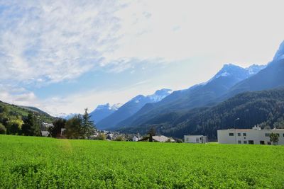 Scenic view of agricultural field by mountains against sky