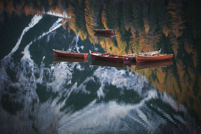 Boat moored in lake at forest