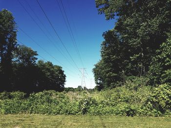 Scenic view of grassy field against sky