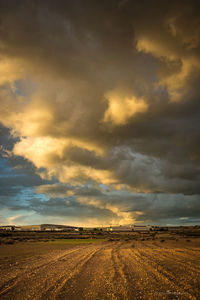 Scenic view of field against sky during sunset