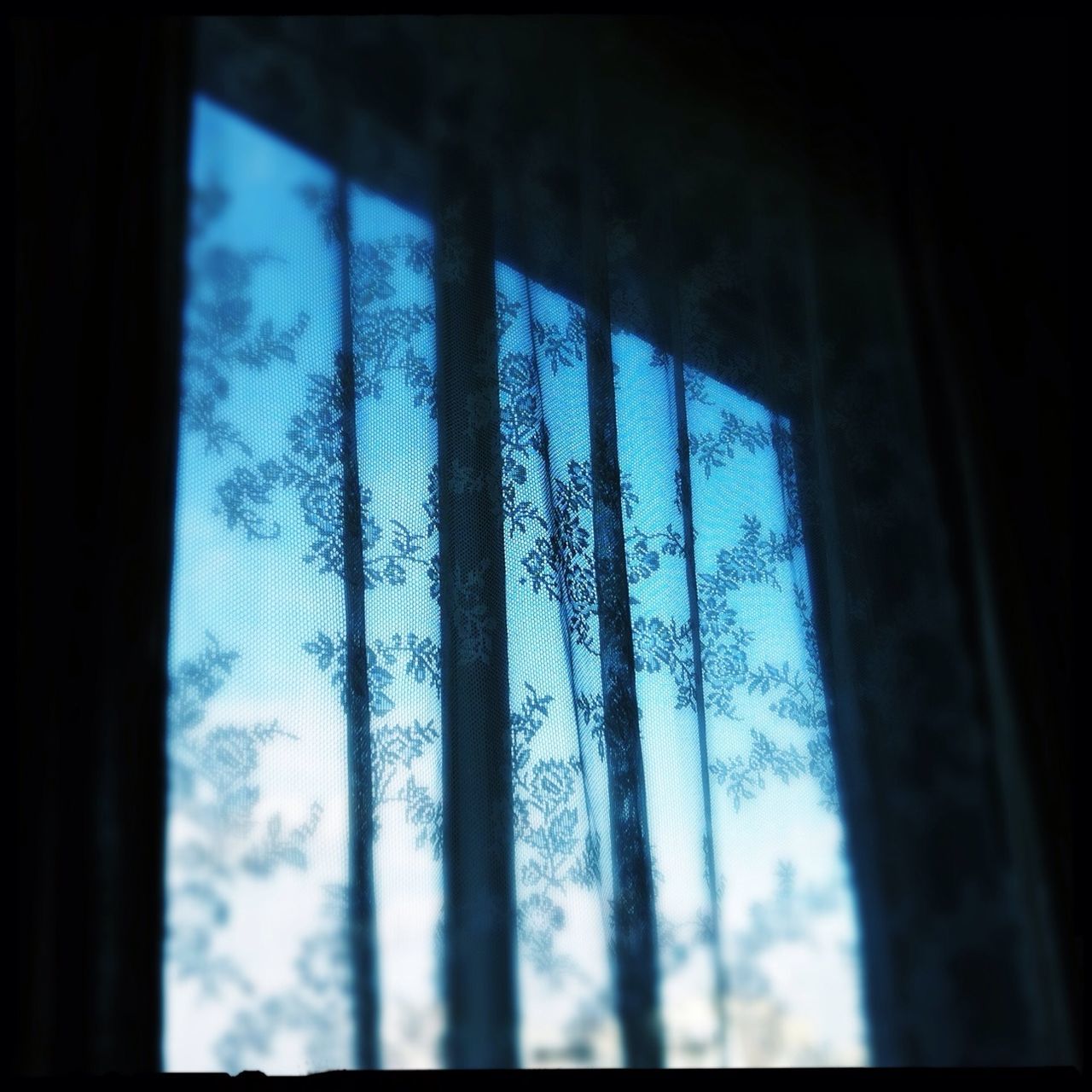 window, indoors, tree, glass - material, transparent, silhouette, bare tree, sky, tranquility, nature, day, branch, no people, looking through window, tranquil scene, growth, beauty in nature, tree trunk, weather, landscape