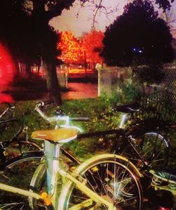 Close-up of bicycle against trees at night