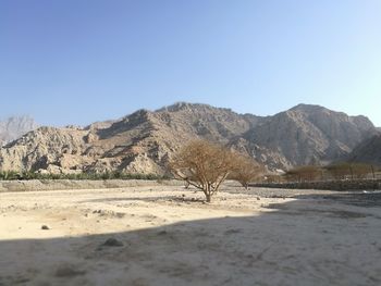 Scenic view of landscape against clear sky