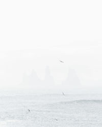 Seagull flying over sea against sky