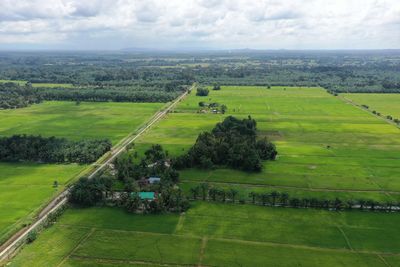 Scenic view of agricultural field against sky