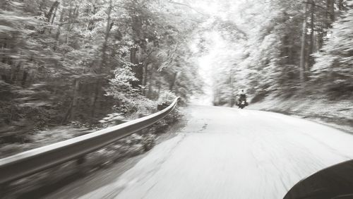 Road amidst trees in forest