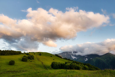 Scenic view of field against sky