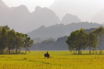 Scenic view of trees on field against mountains