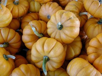 Full frame shot of pumpkins