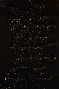 Illuminated christmas tree at night