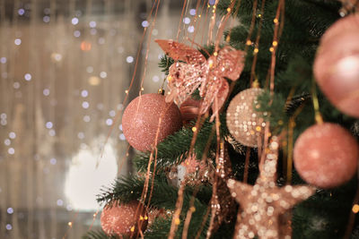 Close-up of water drops on christmas tree