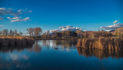 Scenic view of lake against blue sky