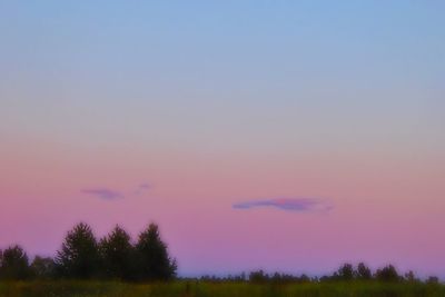 Silhouette trees against sky during sunset