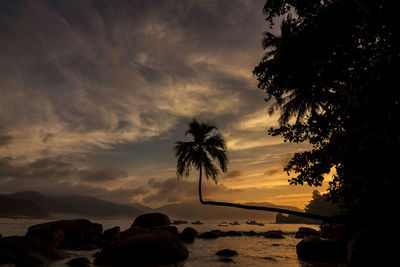 Silhouette palm trees on beach against sky at sunset