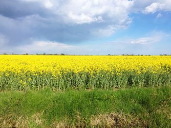 Scenic view of field against cloudy sky