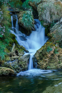 Scenic view of waterfall in forest