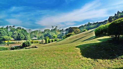 Scenic view of grassy field against cloudy sky