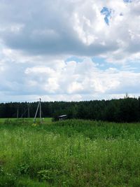 Scenic view of field against sky