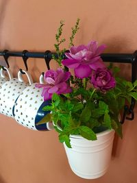 Close-up of pink flowers in vase on table