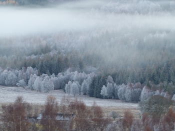 Scenic view of snow covered land