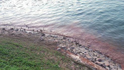 High angle view of beach