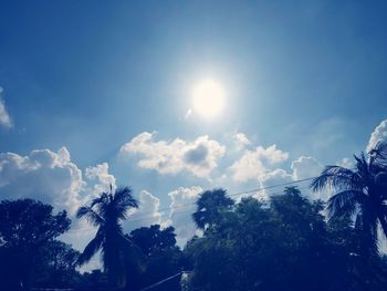 Low angle view of palm trees against blue sky