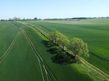 Scenic view of agricultural field against clear sky