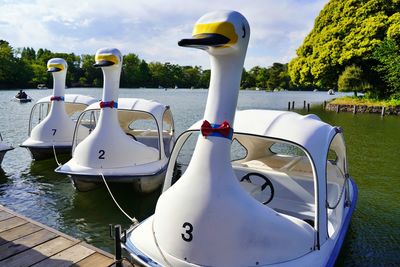 Close-up of swan boat in lake