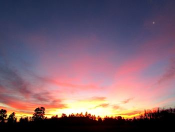 Scenic view of trees against sky at sunset