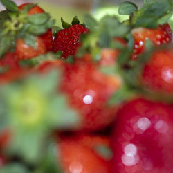 Full frame shot of red berries