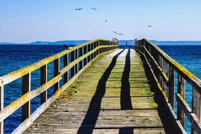 Birds flying over pier and sea