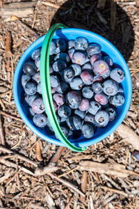 High angle view of fruits in container