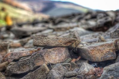 Close-up of stones on rock