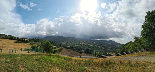 Panoramic shot of trees on field against sky